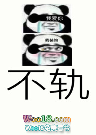 不轨的英文翻译
