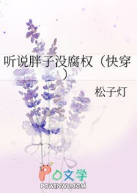 一个叫小男孩,一个叫胖子