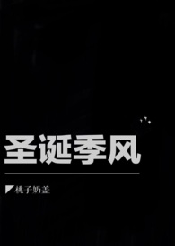 圣诞季上海