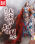 大宋的智慧有声小说免费听